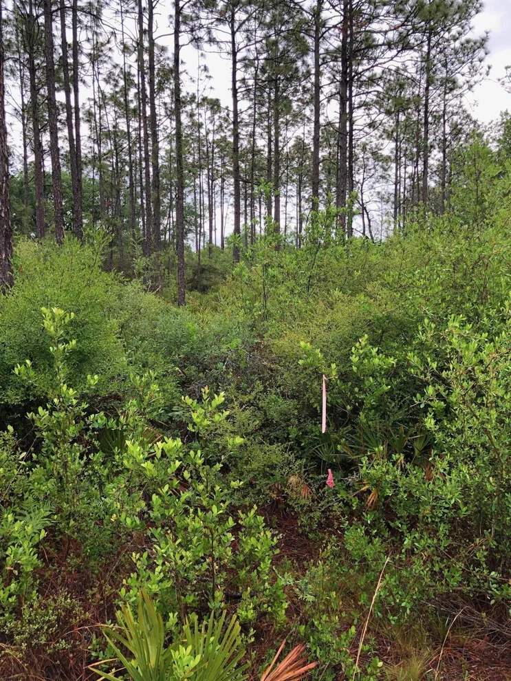 Unit for sale at 10111 COWELS Road, Fountain, FL 32438