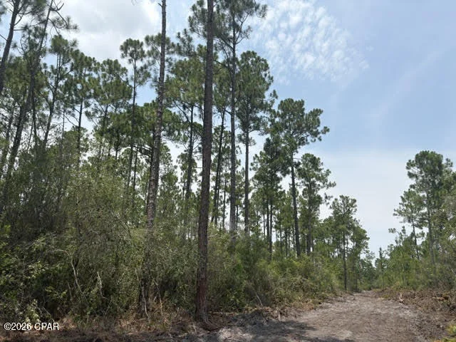 Unit for sale at 22563 NW Lake Mckenzie Boulevard, Altha, FL 32421