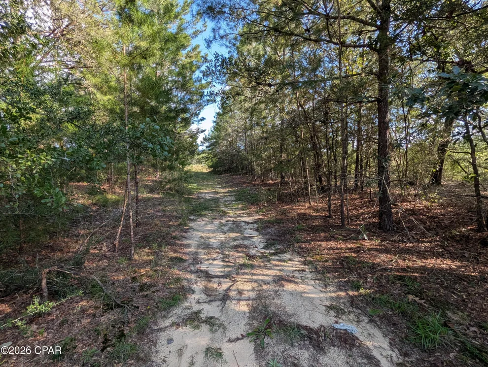 Unit for sale at TBD Willow Bend Drive, Defuniak Springs, FL 32433
