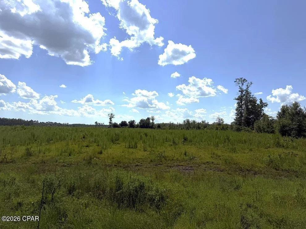 Unit for sale at Lot 2 Hwy 71 S, Wewahitchka, FL 32449