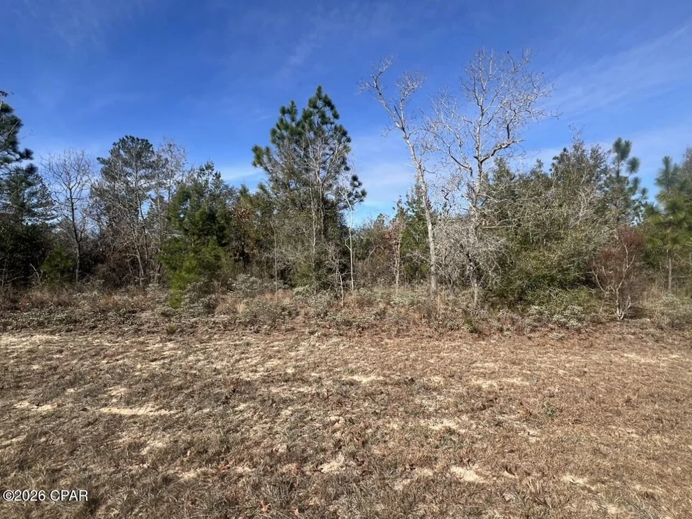Unit for sale at 0 Dandelion Drive, Chipley, FL 32428