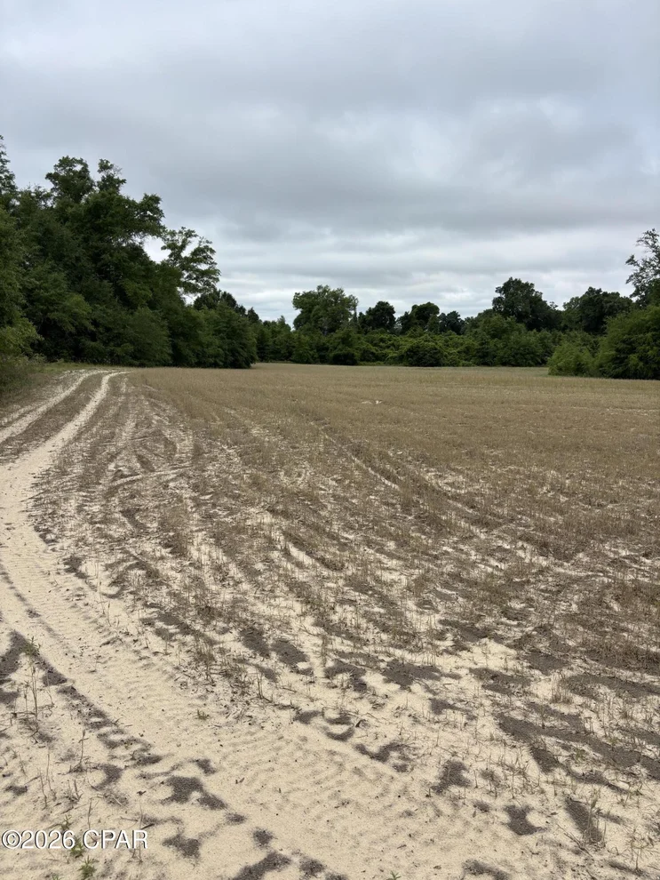 Unit for sale at 0 Blue Springs Road, Greenwood, FL 32443