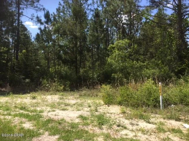 Unit for sale at 0 HWY 22 Highway, Wewahitchka, FL 32465