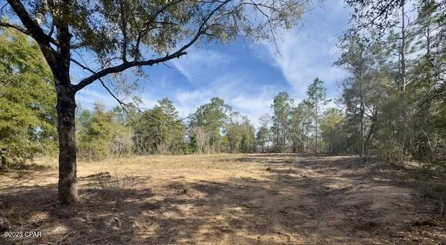 Unit for sale at Lot #19 Paradise Lakes Road, Chipley, FL 32428