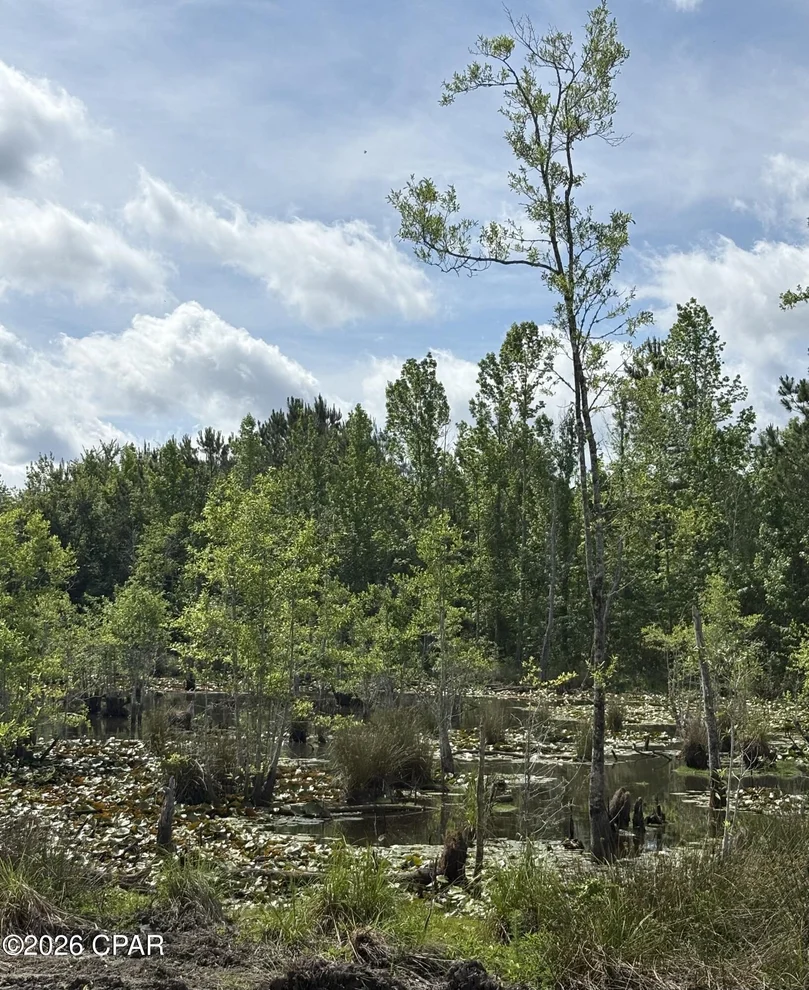 Unit for sale at XX JJ Whitaker Rd, Bonifay, FL 32425