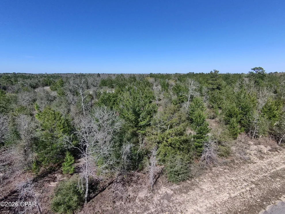 Unit for sale at LOT 55 Dandelion Drive, Chipley, FL 32428