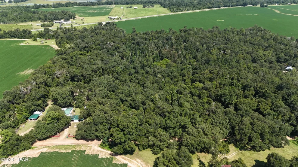 Unit for sale at 00 Conner Road, Grand Ridge, FL 32442