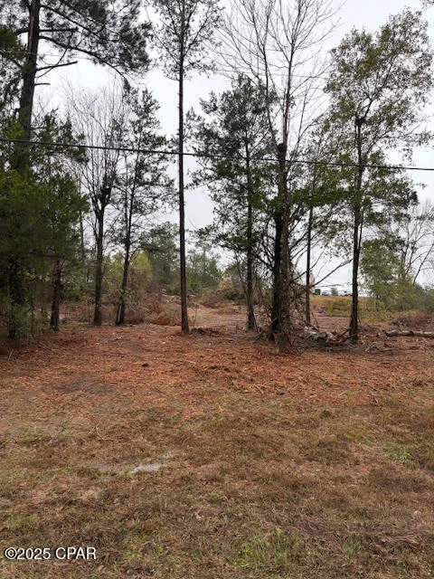 Unit for sale at 4593 Meadowview Road, Marianna, FL 32446