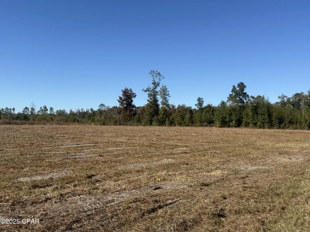 Unit for sale at Lot 1 Hwy 71, Wewahitchka, FL 32465