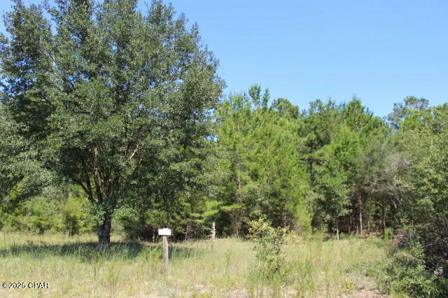 Unit for sale at 0 Fairview Road, Marianna, FL 32448