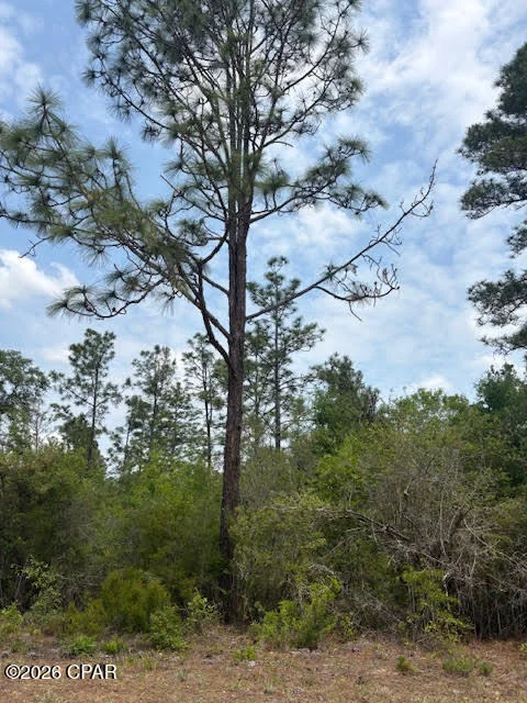 Unit for sale at 00 Southern Boulevard, Alford, FL 32420