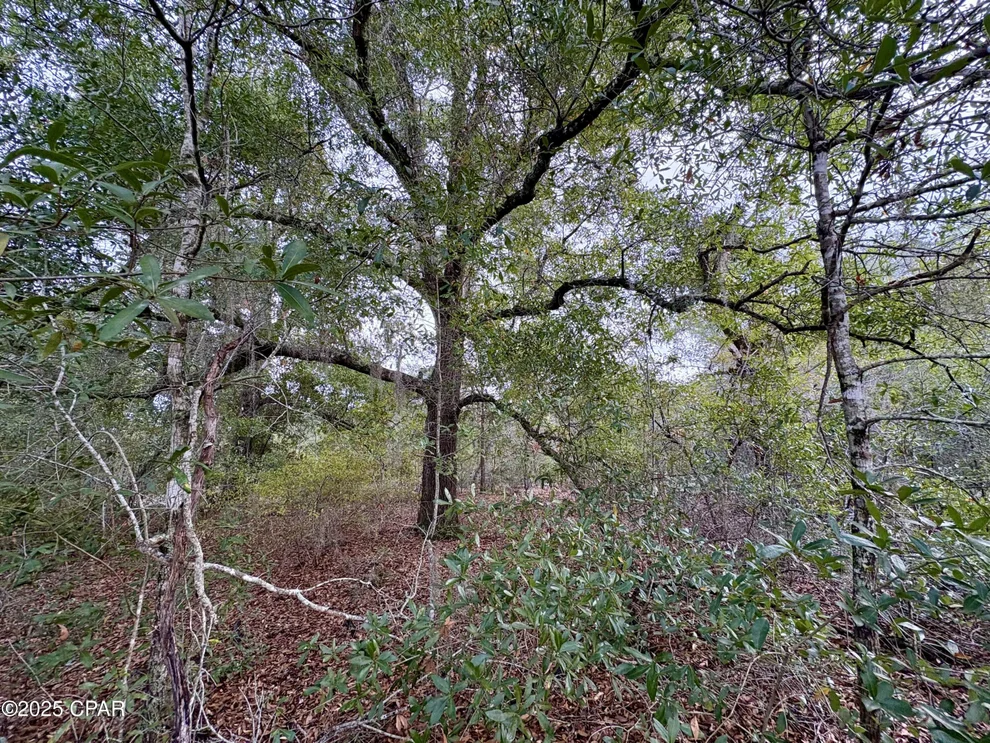 Unit for sale at Lot 14 Sadorus Avenue, Alford, FL 32420