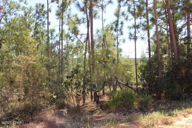 Unit for sale at 0 Sycamore Street, Alford, FL 32420