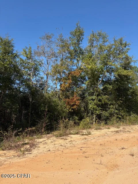 Unit for sale at 0 Southern Boulevard, Alford, FL 32420