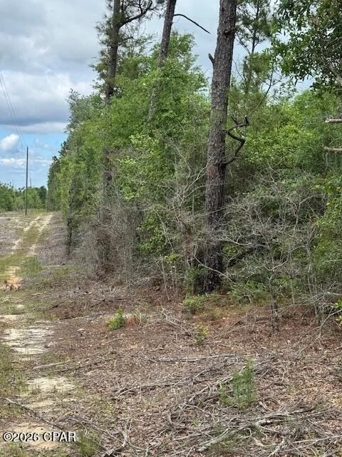 Unit for sale at TBD Pilgrim Rest Church Road, Marianna, FL 32448