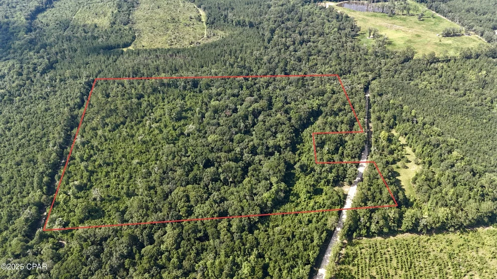 Unit for sale at 37+Acres Ten Mile Rd, Bonifay, FL 32425