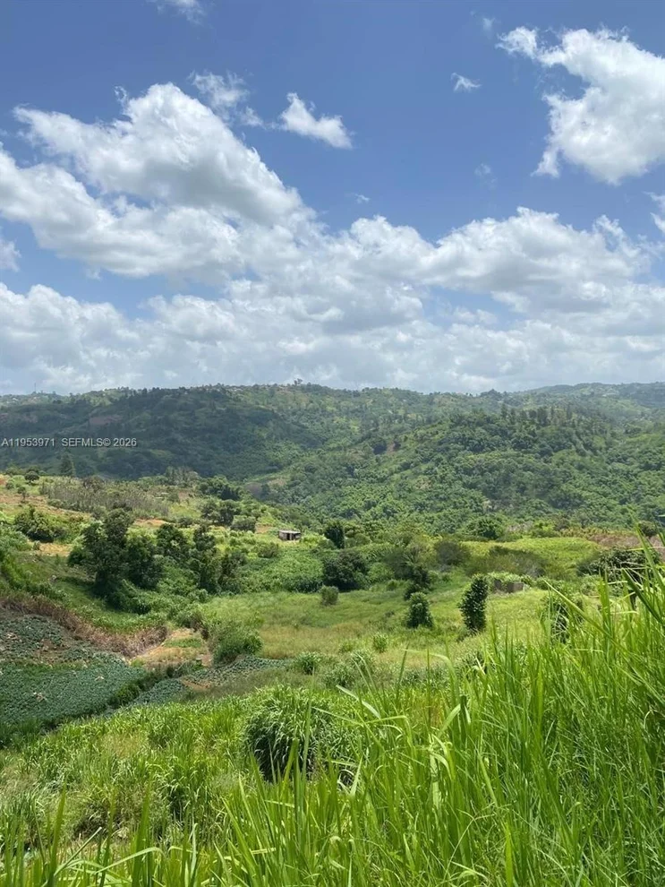 Unit for sale at 1 Colleyville, Manchester, Jamaica,  