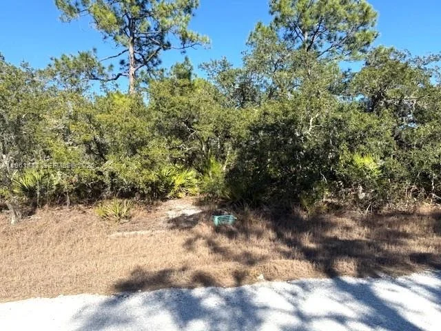 Unit for sale at 3221 N Dahlia, Lake Placid, FL 33852