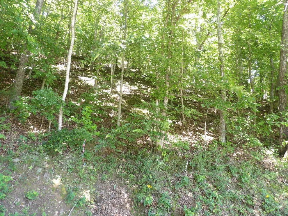 Unit for sale at 587 W Little Richland Rd, Waverly, TN 37185