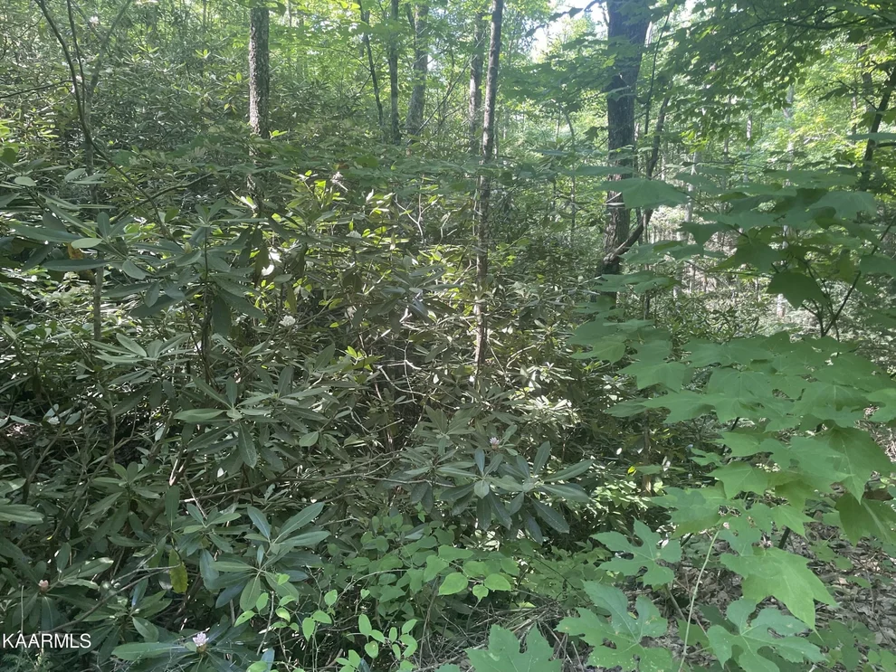 Unit for sale at 67 Sycamore St, Sevierville, TN 37876