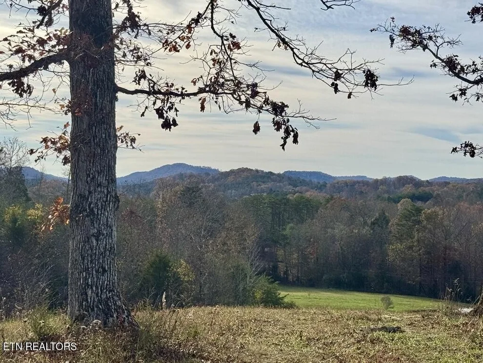 Unit for sale at 2 Three Point Rd, Vonore, TN 37885