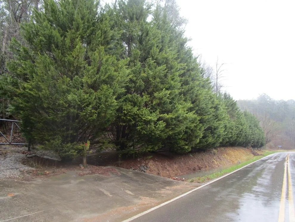 Unit for sale at 0 Jones Cove Road, Sevierville, TN 37862