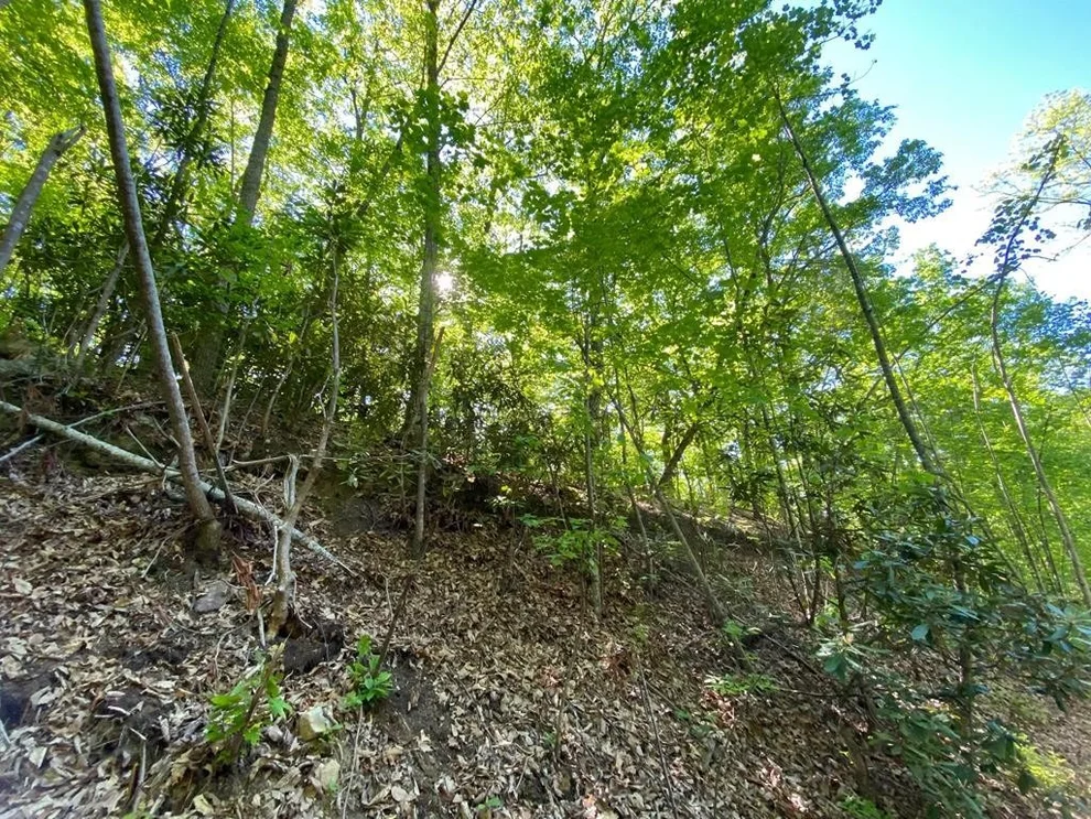 Unit for sale at 41 Trailer Park Lane, Sevierville, TN 37876