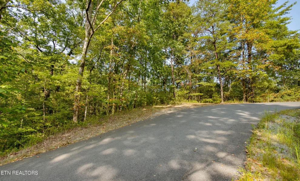 Unit for sale at 20 Sugar Maple Loop, Sevierville, TN 37862