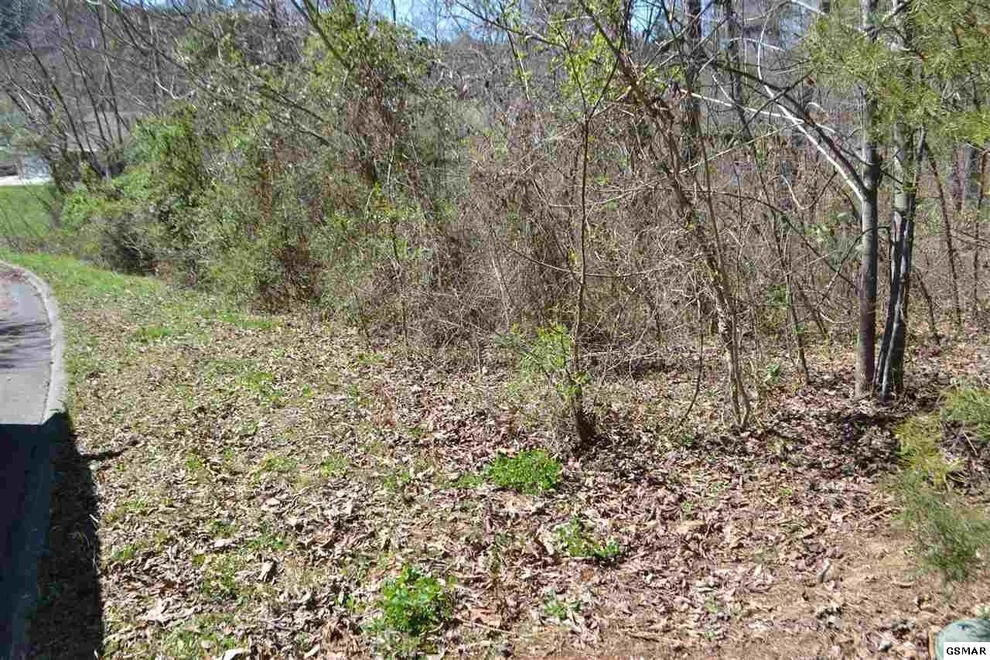 Unit for sale at 0 Lot 16, Seymour, TN 37865