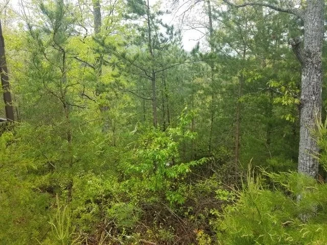 Unit for sale at 0 Beechwood Drive, Newport, TN 37821