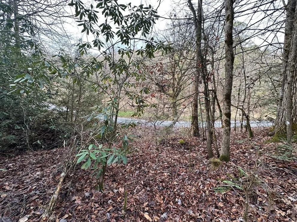 Unit for sale at 0 Little Bear Trail Way, Cosby, TN 37722