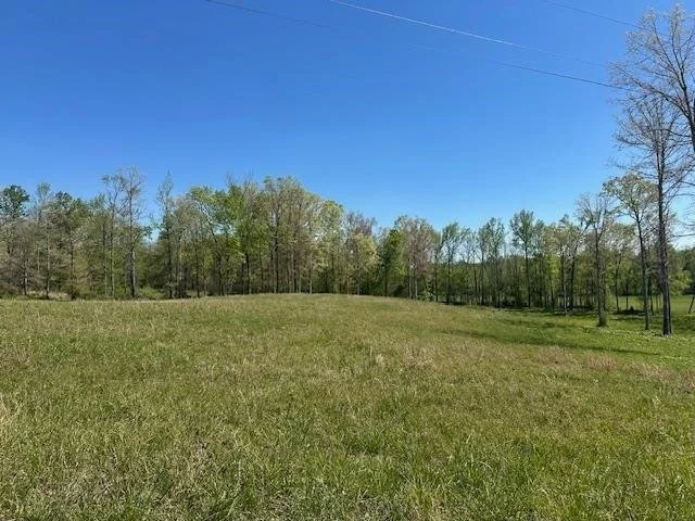 Unit for sale at 0 PEAR BLOSSOM LN, Adamsville, TN 38310