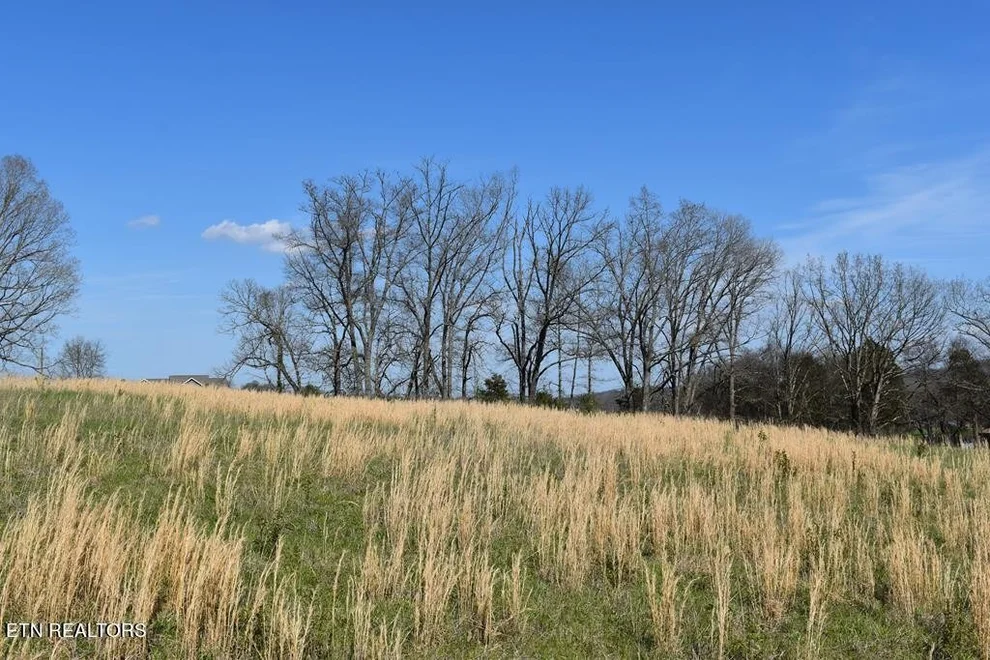 Unit for sale at 18 Temple Rd, Seymour, TN 37865