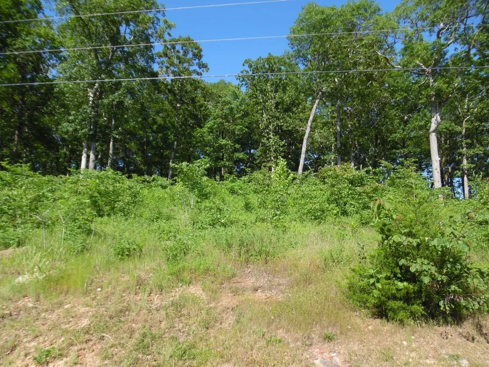 Unit for sale at 0 ADAM LOOP, Bath Springs, TN 38311