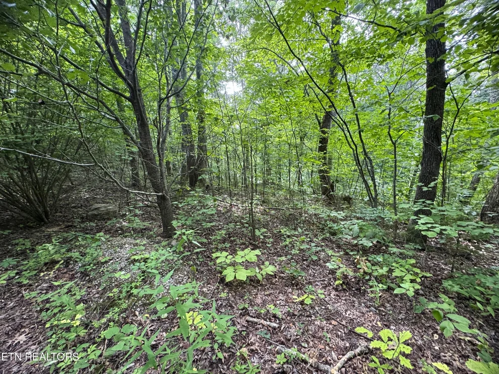 Unit for sale at 1884 Woodland Way, Newport, TN 37821
