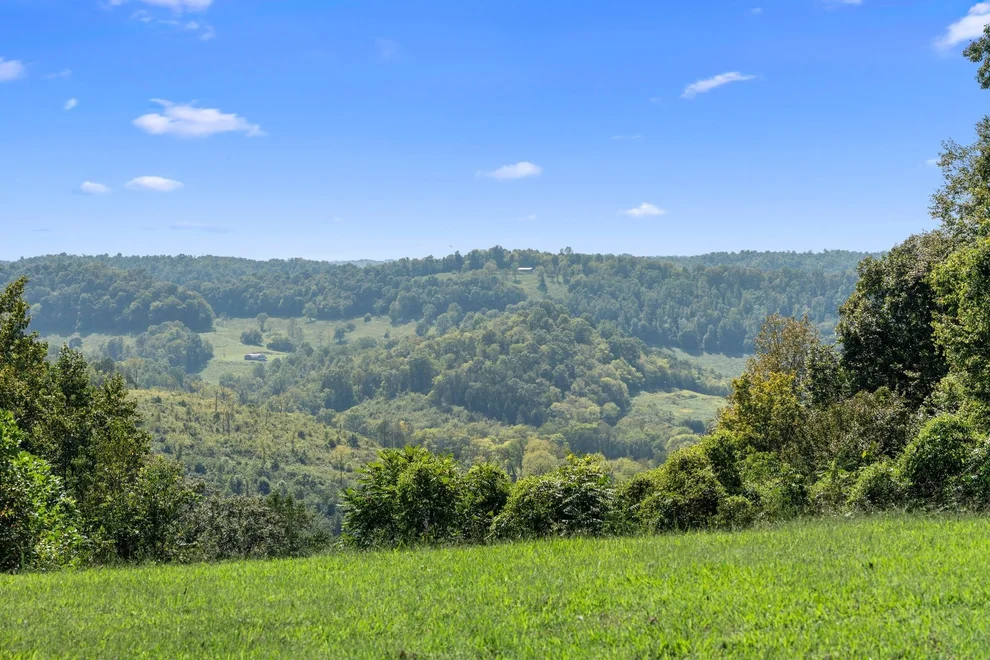 Unit for sale at 0 Beaver Ln, Gainesboro, TN 38562