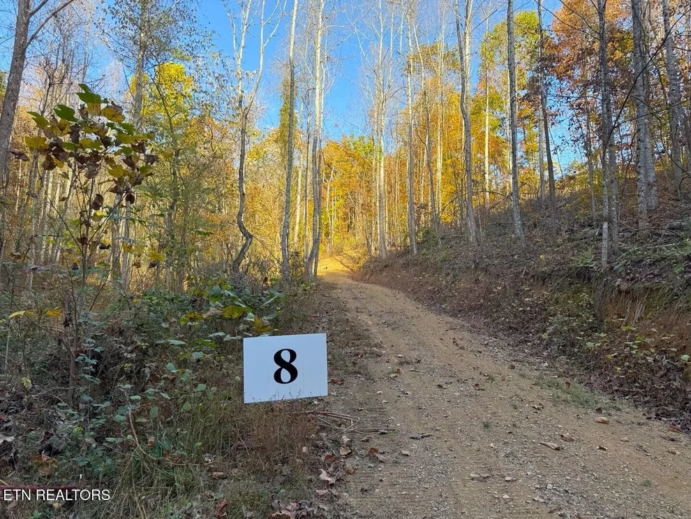 Unit for sale at 8 Topaz Way, Parrottsville, TN 37843