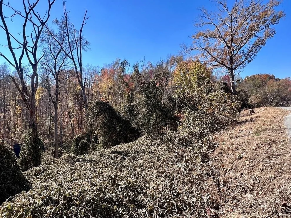Unit for sale at 810 Park Drive, Gatlinburg, TN 37738