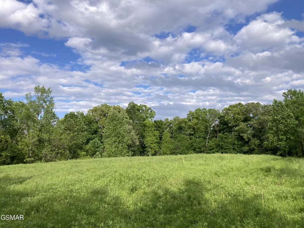 Unit for sale at 24265 S Mohawk Rd, Midway, TN 37809