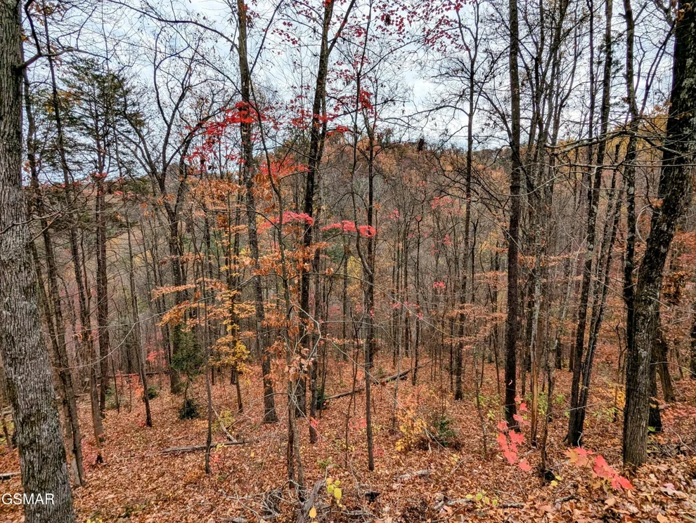 Unit for sale at 2317 Grey Fox Run, Sevierville, TN 37862