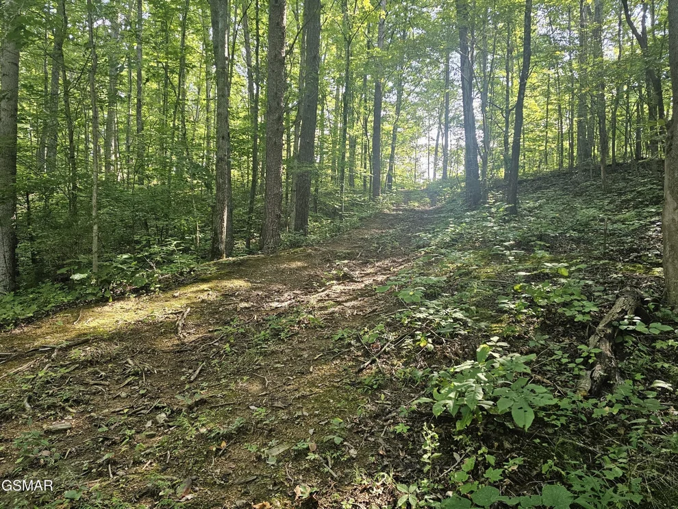 Unit for sale at 2 Franklin Lane, Sevierville, TN 37876