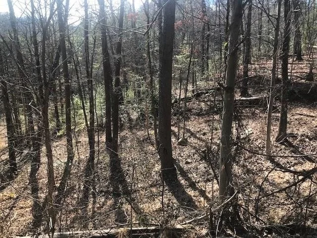 Unit for sale at 25 Cloudburst Drive, Sevierville, TN 37862