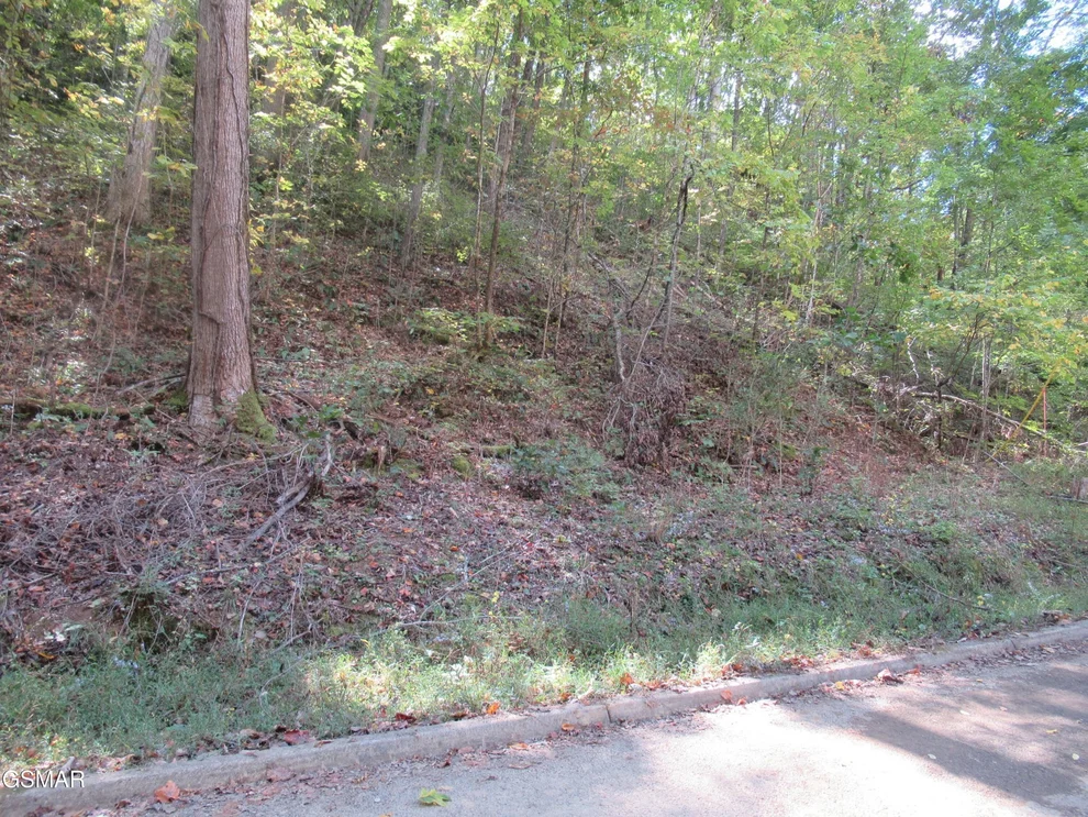 Unit for sale at 114 Bear Valley Road, Sevierville, TN 37862