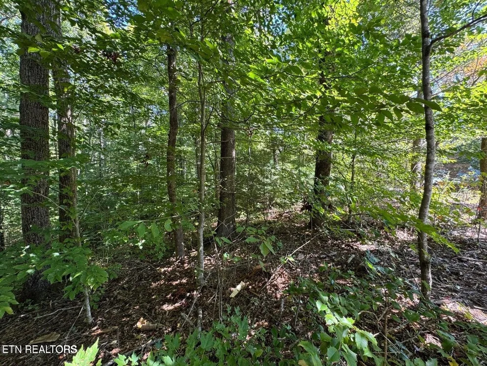 Unit for sale at 6 Saddle Brook Way, Sevierville, TN 37862