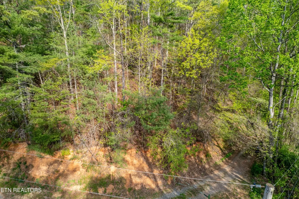 Unit for sale at 240 Mt. Luke Rd, Townsend, TN 37882