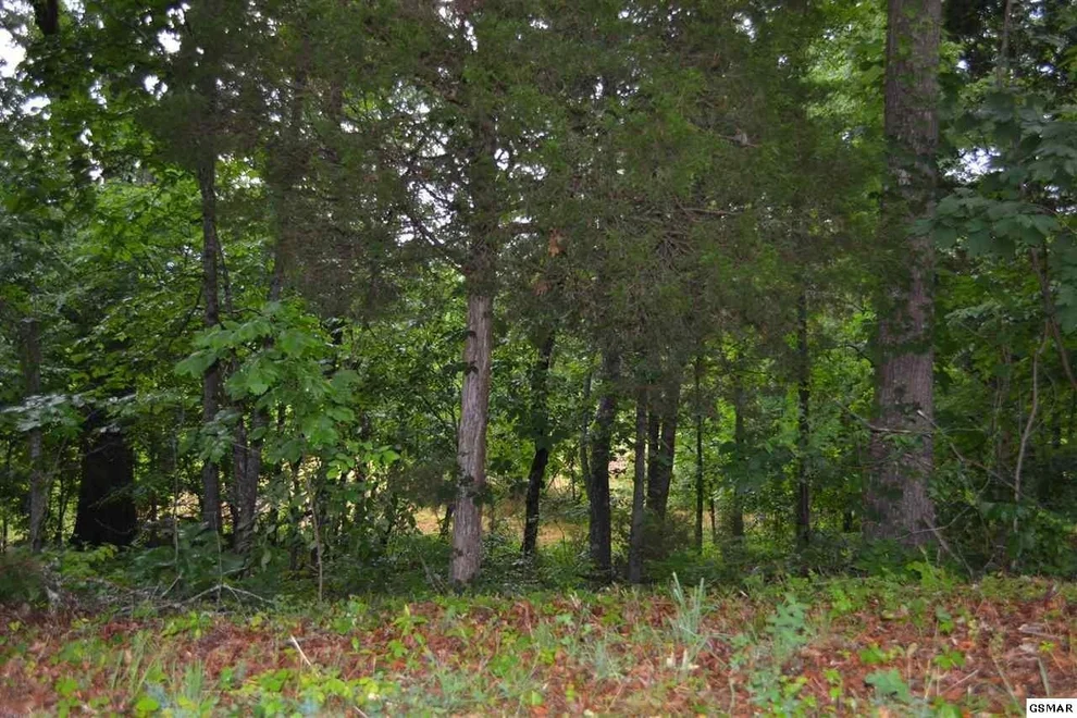 Unit for sale at 58 Lazy River Lane, Sevierville, TN 37876