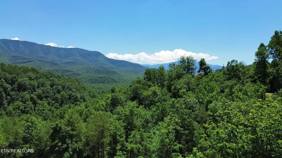 Unit for sale at 0 Vixen Run, Gatlinburg, TN 37738