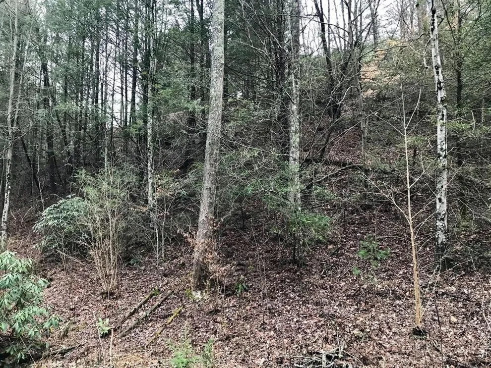 Unit for sale at 0 Butler Branch Road, Gatlinburg, TN 37738