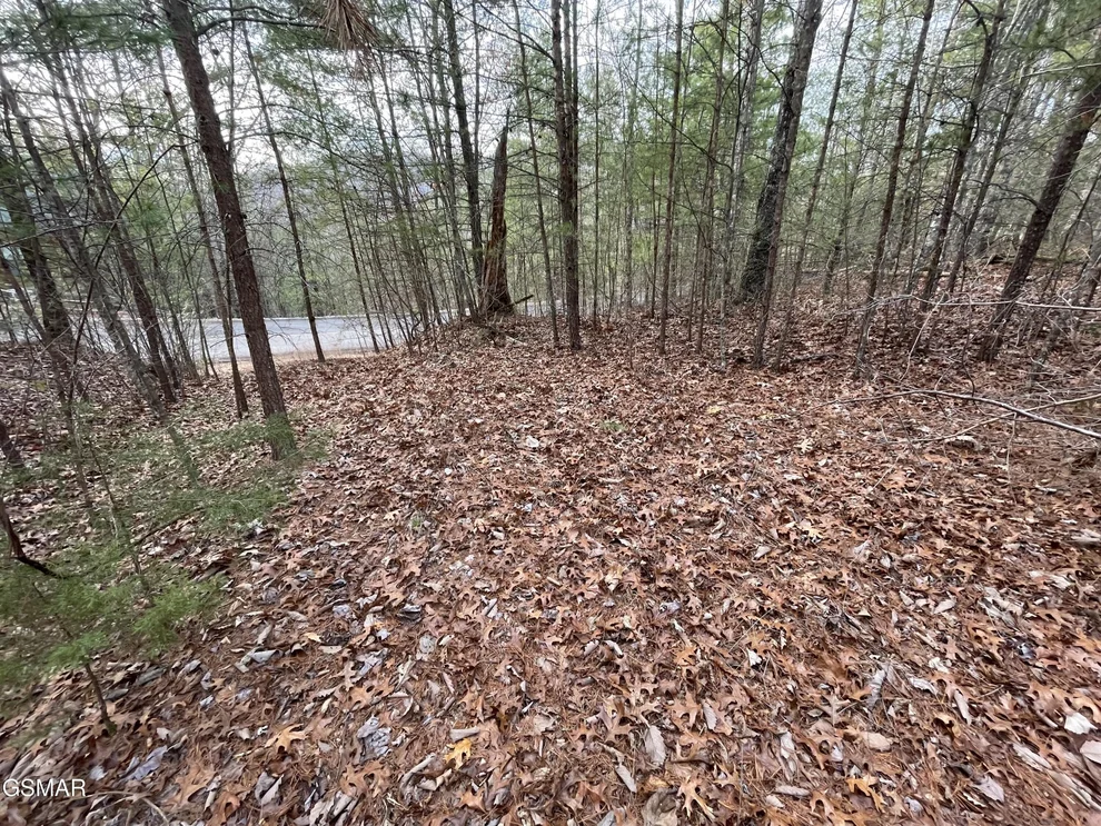 Unit for sale at 79 Whetstone Road, Sevierville, TN 37862