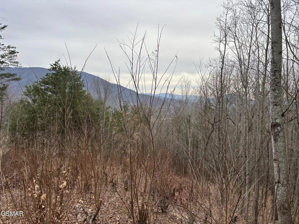 Unit for sale at 19 Dogwood Ridge Way, Sevierville, TN 37862